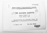 Ascochyta populicola image